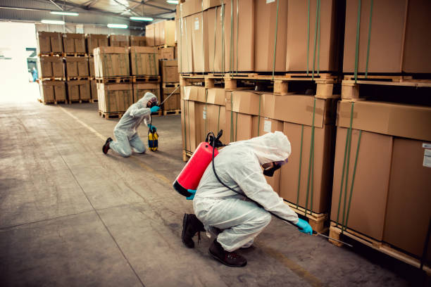 Best Cockroach Control Services  in Coldstream, KY