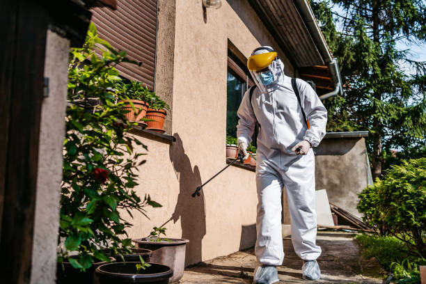 Best Cockroach Control Services  in Coldstream, KY