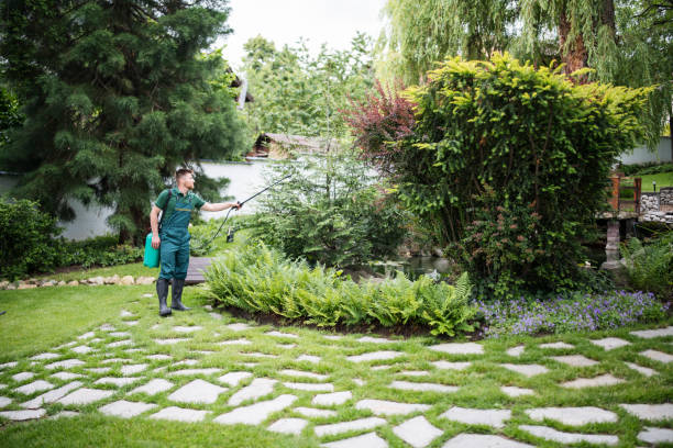 Best Residential Pest Control  in Coldstream, KY