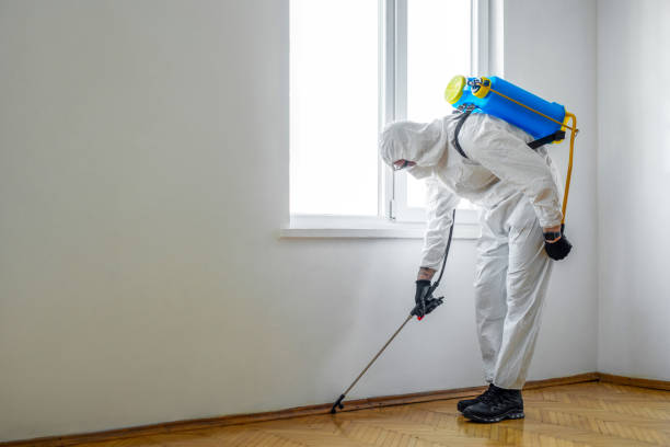 Best Pest Control for Restaurants  in Coldstream, KY