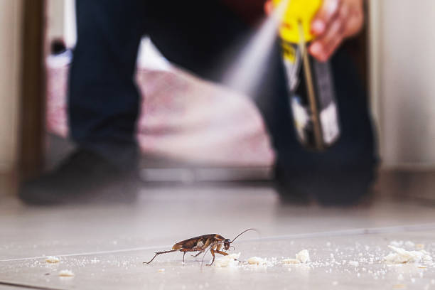 Best Flea Control Services  in Coldstream, KY