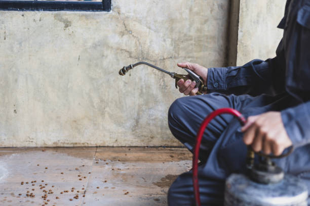 Best Exterminator Services  in Coldstream, KY